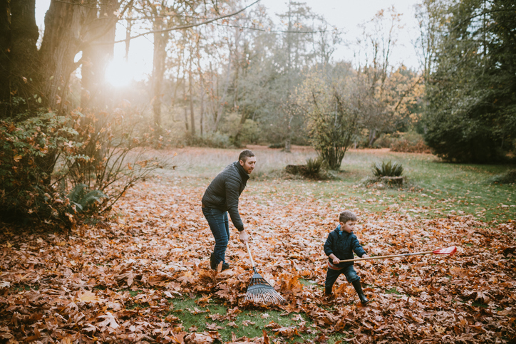 father son raking leaves in front yard