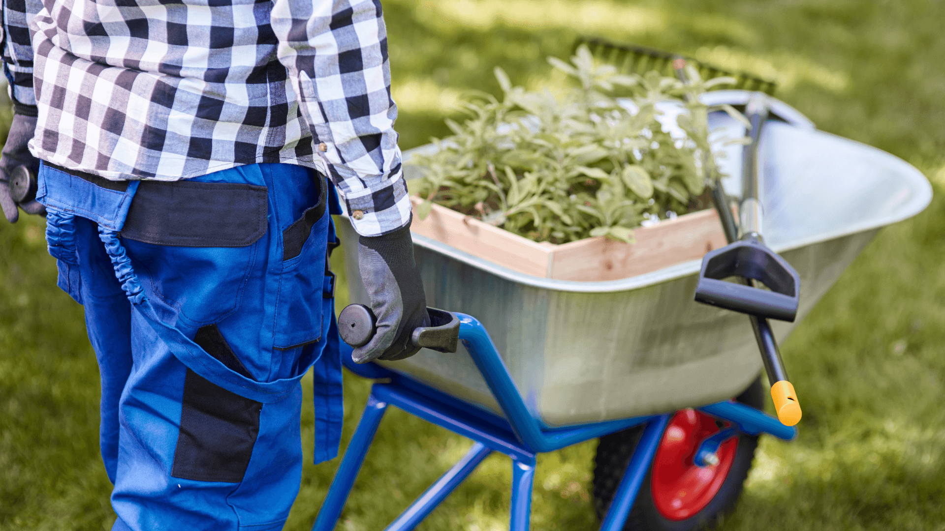 man pushing wheel barrel